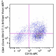 Brilliant Violet 605™ anti-mouse CD64 (FcγRI) Antibody (139323)