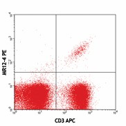 PE anti-mouse TCR Vβ13 Antibody (140703)