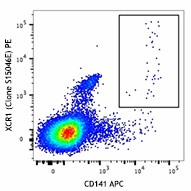 PE anti-human XCR1 Antibody (372603)