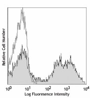 PE anti-mouse/human CD11b Antibody (101207)