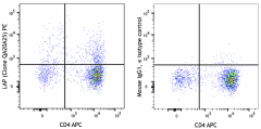 PE anti-human LAP Recombinant Antibody (364403)