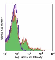 Alexa Fluor® 647 anti-rat CD11b/c Antibody (201814)