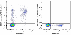 PE/Cyanine5 anti-human CD39 Antibody (328247)