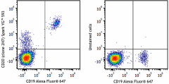 Spark YG™ 593 anti-human CD20 Antibody (302367)