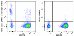 StarBright UltraViolet 575 anti-human CD56 (NCAM) Recombinant Antibody (392444)