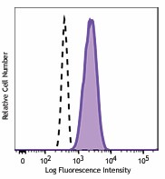 Purified anti-human FPR1 Antibody (391602)