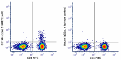 APC anti-human CD198 (CCR8) Antibody (365707)