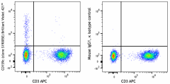 Brilliant Violet 421™ anti-human CD159c (NKG2C) Antibody (375013)