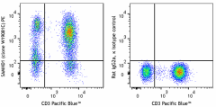 PE anti-SAMHD1 Antibody (941003)