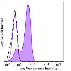 PE anti-γ-Catenin Antibody (946405)