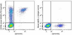 PE/Cyanine5 anti-human CD196 (CCR6) Antibody (353456)