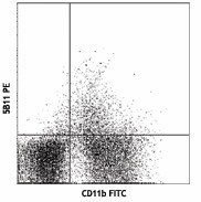 PE anti-mouse CD123 Antibody (106005)