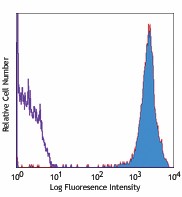 PE anti-mouse CD90.2 (Thy1.2) Antibody (105307)