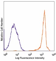 Purified anti-mouse CD90.2 (Thy1.2) Antibody (140301)