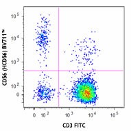 Brilliant Violet 711™ anti-human CD56 (NCAM) Antibody (318335)