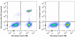 PE/Cyanine5 anti-human CD4 Antibody (344653)