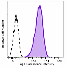Biotin anti-human CD271 (NGFR) Antibody (345122)