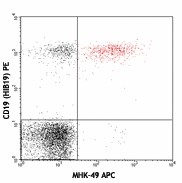 APC anti-human Ig light chain κ Antibody (316509)