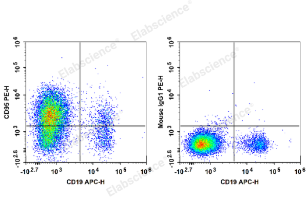 PE Anti-Human CD95/Fas Antibody[DX2] (E-AB-F1168D)