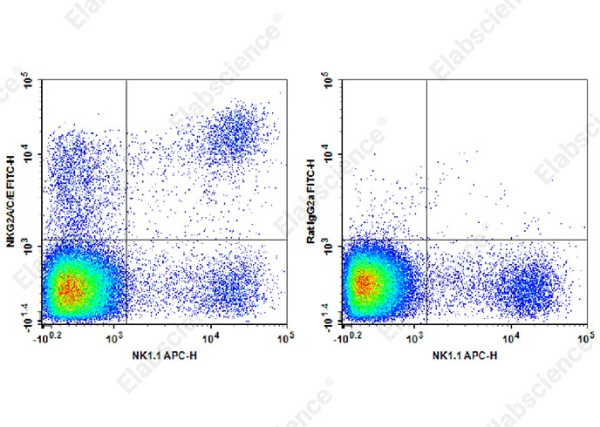 FITC Anti-Mouse NKG2A/C/E Antibody[20d5] (AN00409C)