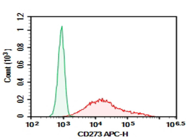 Purified Anti-Human CD273 Antibody[HIQB273-2] (AN008630P)