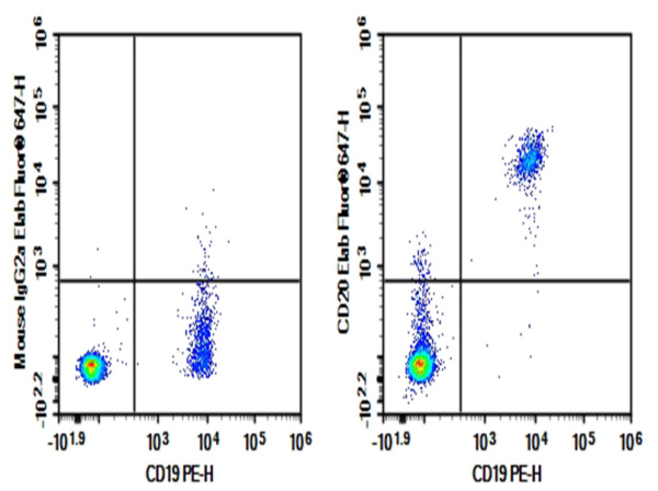 Purified Anti-Human CD20 Antibody[BCA/B20] (E-AB-F1045A)