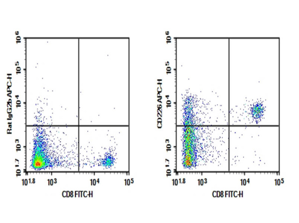 Purified Anti-Mouse CD226 Antibody[10E5] (E-AB-F1402A)