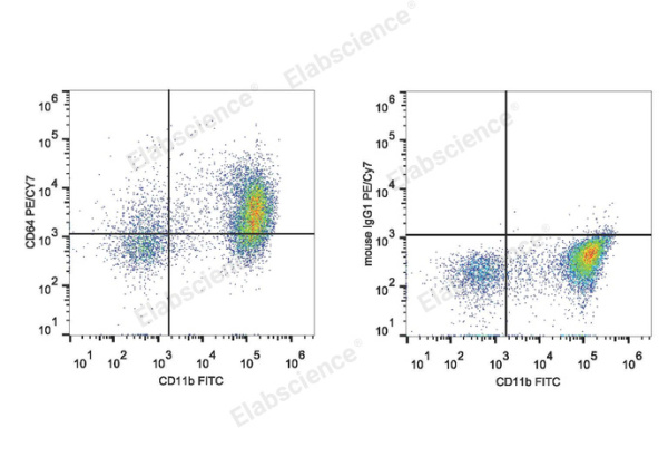 PE/Cyanine7 Anti-Mouse CD64/FcγRI Antibody[X54-5/7.1] (E-AB-F1186UH)