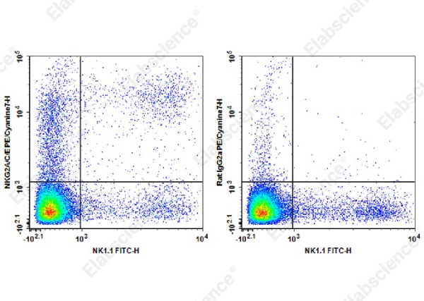 PE/Cyanine7 Anti-Mouse NKG2A/C/E Antibody[20d5] (AN00409H)