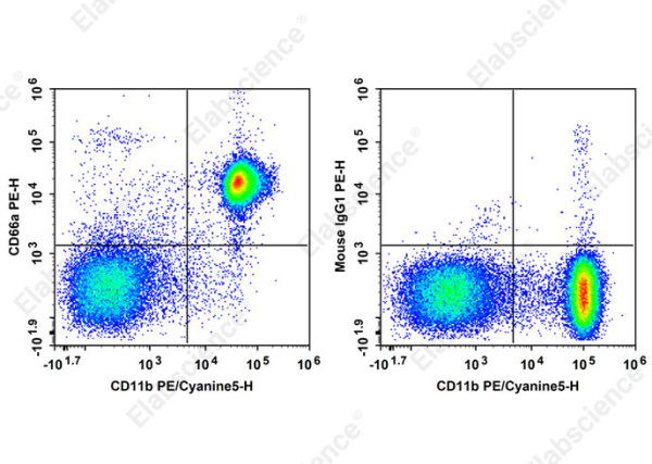 PE Anti-Mouse CD66A Antibody[Mab-CC1] (AN00328D)