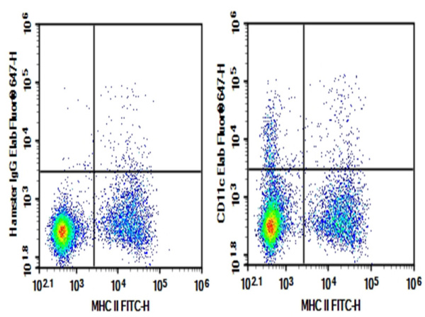 AF/LE Purified Anti-Mouse CD11c Antibody[N418] (E-AB-F09910)