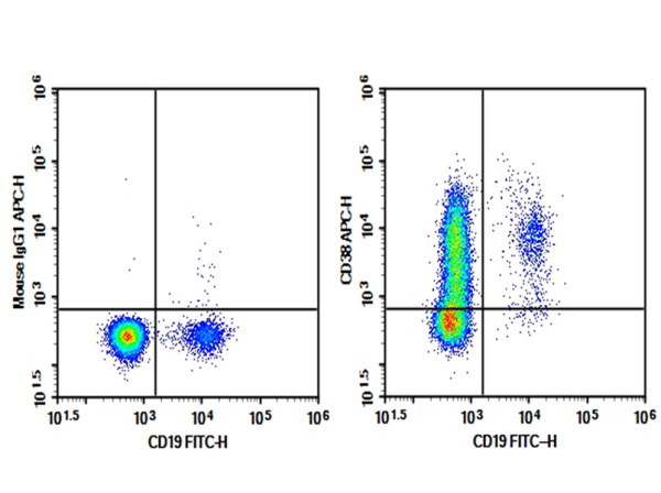 Purified Anti-Human CD38 Antibody[HB-7] (AN003490P)