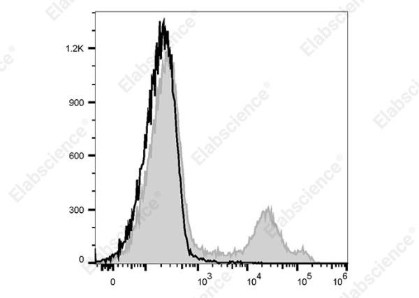 FITC Anti-Rat CD71 Antibody[OX-26] (AN00622UC)