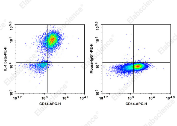 PE Anti-Human IL-1 beta Antibody[CRM56] (AN00842D)
