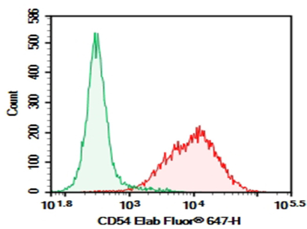 AF/LE Purified Anti-Mouse CD54 Antibody[YN1/1.7.4] (E-AB-F10180)
