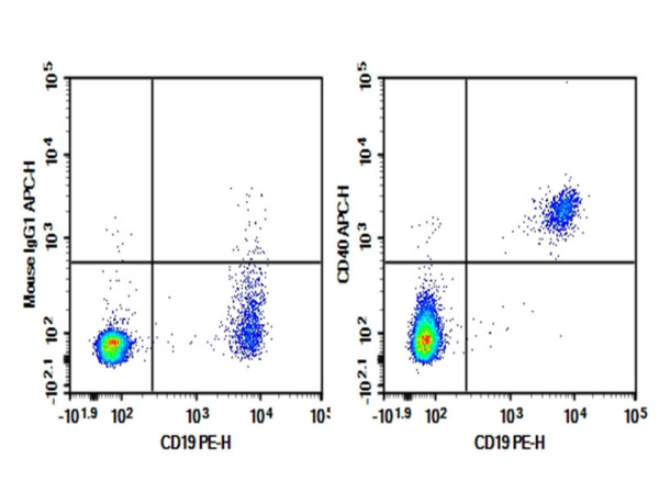 Purified Anti-Human CD40 Antibody[HB14] (AN008840P)