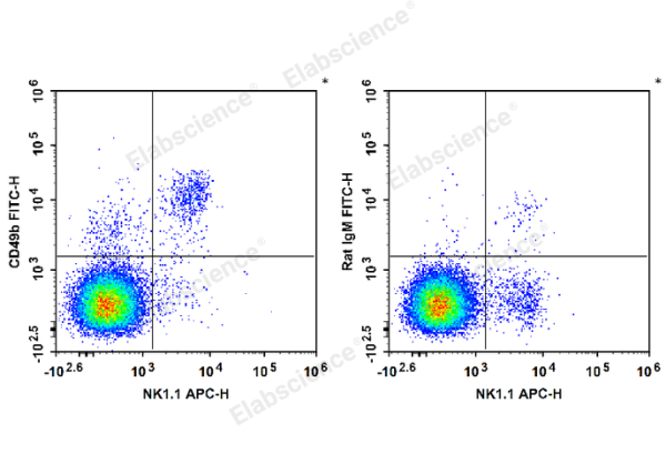 FITC Anti-Mouse CD49b/pan-NK cells Antibody[DX5] (E-AB-F1116UC)