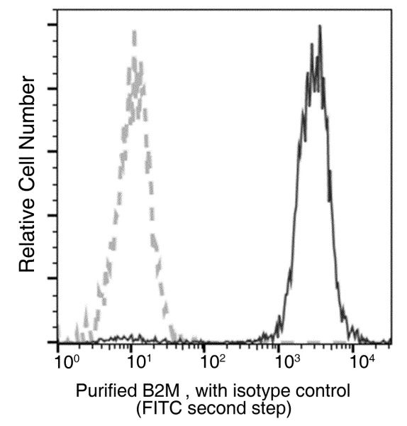 Beta-2 microglobulin/B2M Monoclonal Antibody (AN200123P)