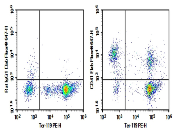 Purified Anti-Mouse CD41 Antibody[MWReg30] (E-AB-F1183A)