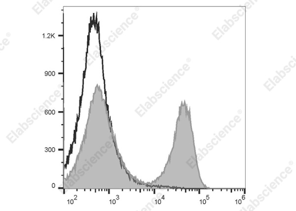 Elab Fluor® 488 Goat Anti-Rat IgG (H+L) Antibody[Poly1441] (AN00339L)