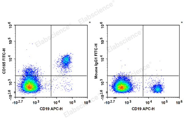 FITC Anti-Human CD185/CXCR5 Antibody[J252D4] (E-AB-F1287C)
