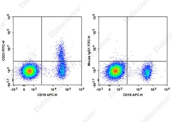 FITC Anti-Human CD23 Antibody[EBVCS2] (E-AB-F1382C)