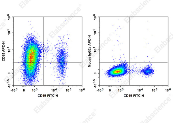 APC Anti-Human CD95/Fas Antibody[HFE7A/APO] (E-AB-F1379E)