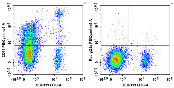 PE/Cyanine5 Anti-Mouse CD71 Antibody[R17 217.1.3/TIB-219] (E-AB-F1093G)