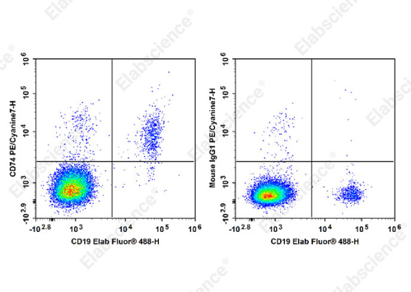 PE/Cyanine7 Anti-Human CD74 Antibody[LN2] (E-AB-F1072H)