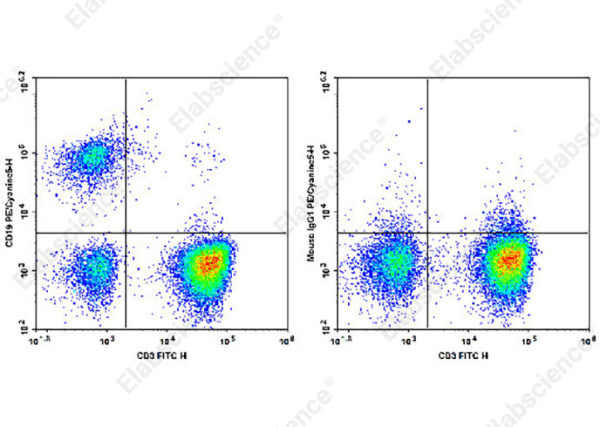 PE/Cyanine5 Anti-Human CD19 Antibody[SJ25C1] (AN00334G)