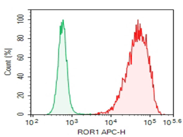 Purified Anti-Human ROR1 Antibody[DA009] (AN008660P)