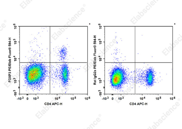 PE/Elab Fluor® 594 Anti-Mouse/Rat Foxp3 Antibody[FJK-16s] (E-AB-F1351P)