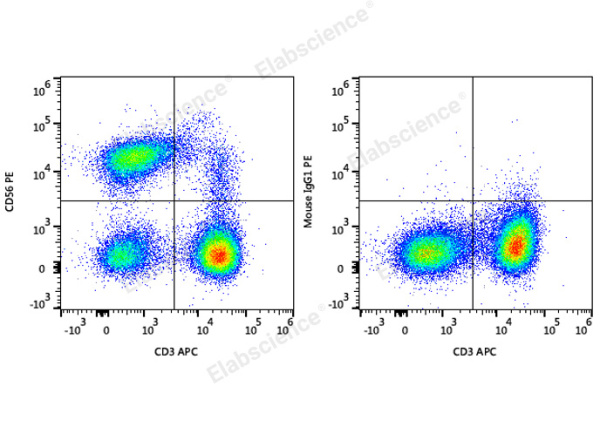 PE Anti-Human CD56/NCAM Antibody[5.1H11] (E-AB-F1239D)