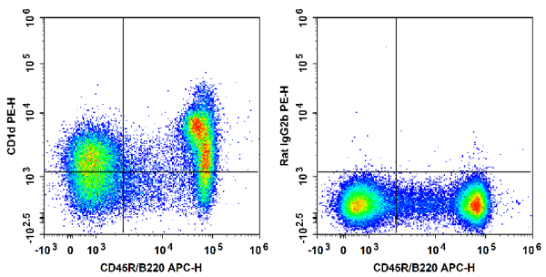 PE Anti-Mouse CD1d Antibody[19G11] (E-AB-F1032D)